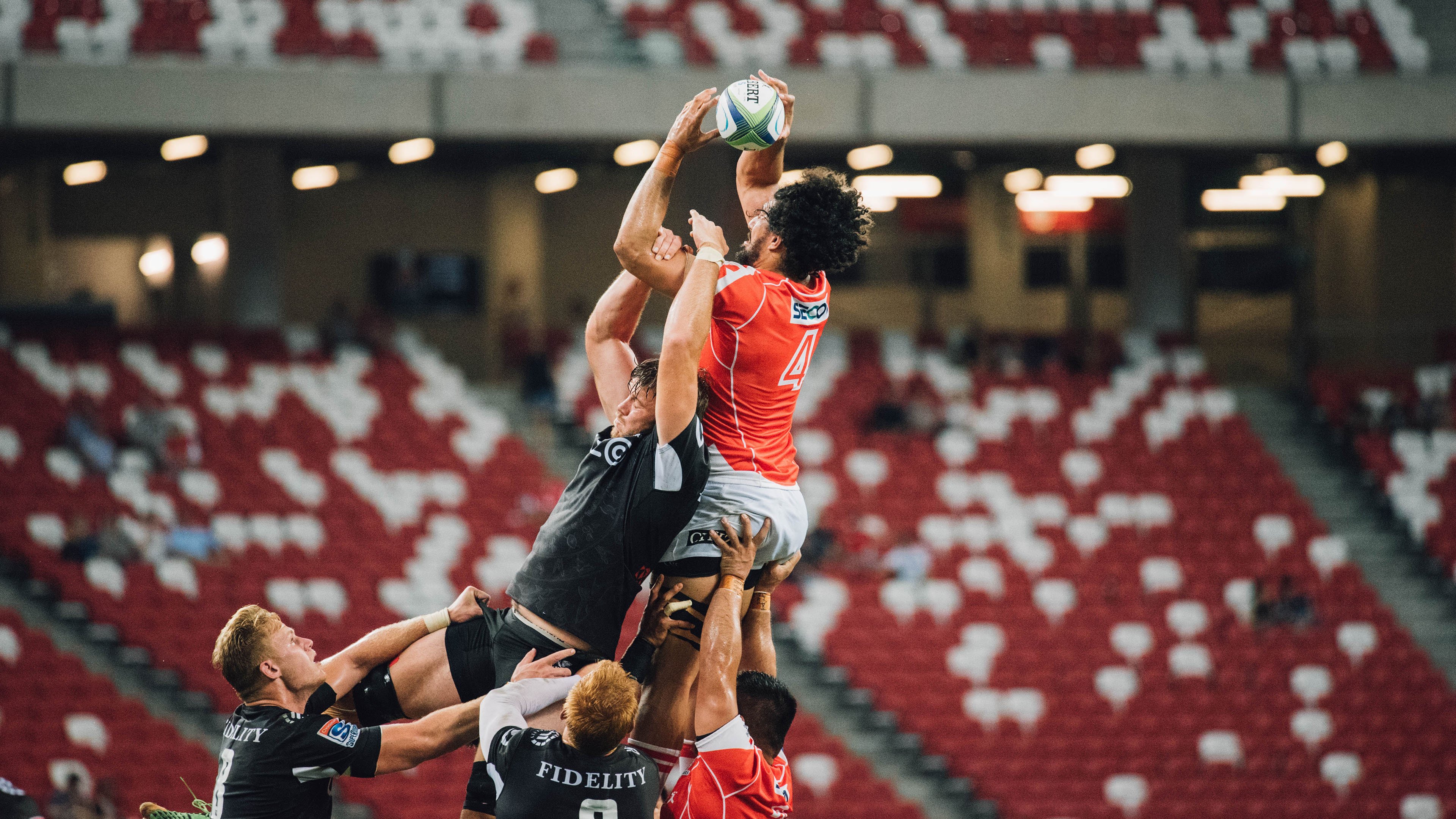 “南非羚羊队的复兴之路:萨尔·巴赫的关键作用”