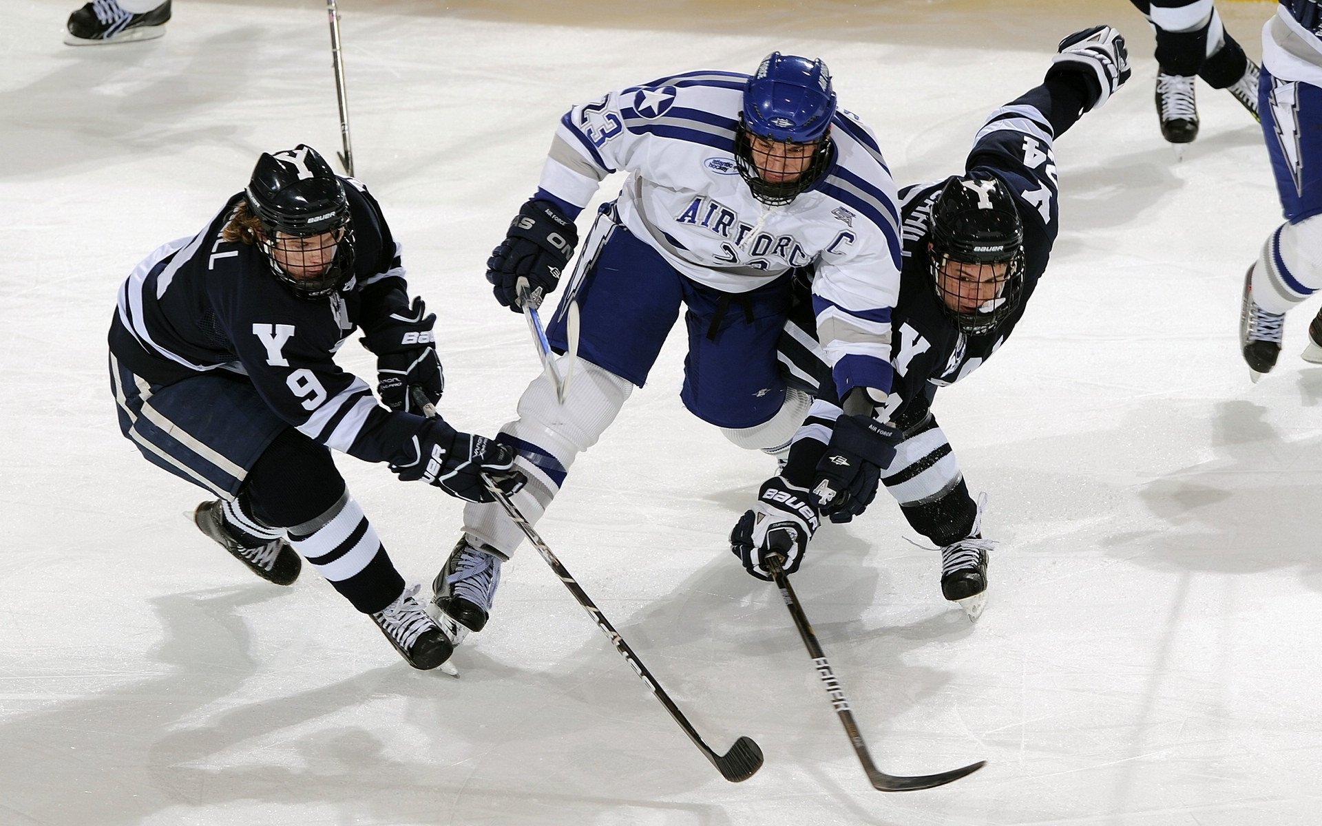 墙外观众席开启，远程球迷互动成新趋势